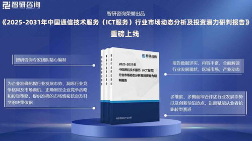 通信技術服務（ICT服務）行業市場預測報告 發展環境、全景概覽與競爭格局分析